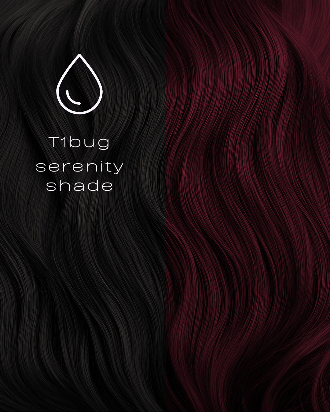 The Classic Curl Set - Ombre